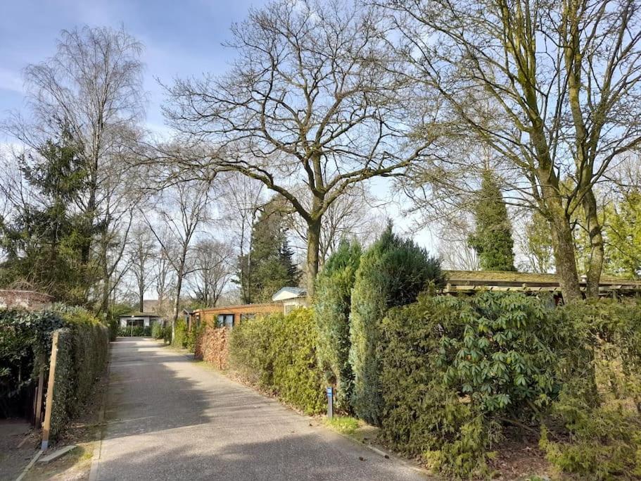 Gezellig Ingerichte Blokhut Op Een Rustig Park! Putten Exteriör bild